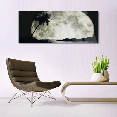 Glasbilder Nacht Mond Palme Landschaft