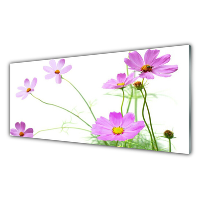 Glasbilder Blumen Pflanzen