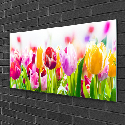 Tulup Glasbilder Wandbild Dekobild 100x50 Blumen Pflanzen 