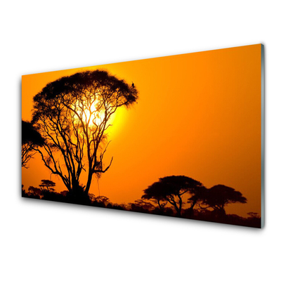 Glasbilder Bäume Sonne Natur