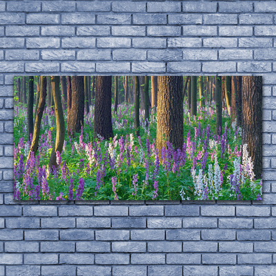 Glasbilder Wald Blumen Natur