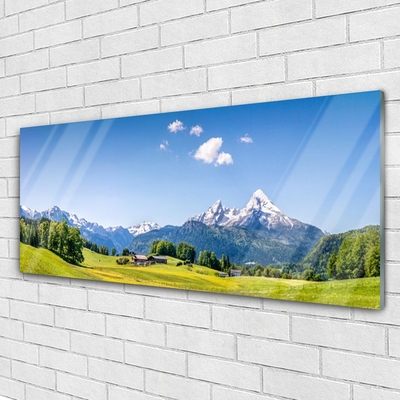 Glasbilder Felder Bäume Gebirge Landschaft