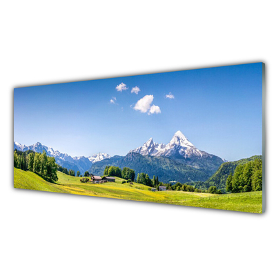 Glasbilder Felder Bäume Gebirge Landschaft