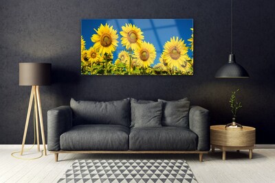 Glasbilder Sonnenblumen Pflanzen