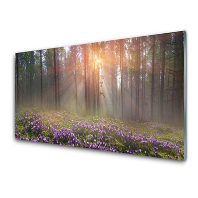 Glasbilder Wald Blumen Natur