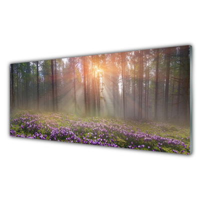 Glasbilder Wald Blumen Natur