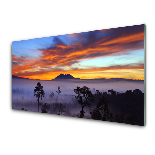 Glasbilder Bäume Nebel Landschaft