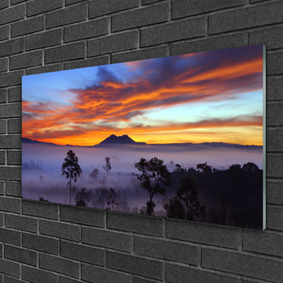 Glasbilder Bäume Nebel Landschaft