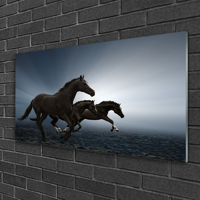 Glasbilder Pferde Tiere