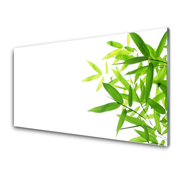 Glasbilder Blätter Pflanzen