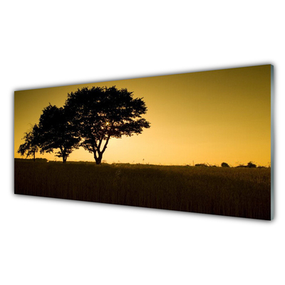 Glasbilder Bäume Natur