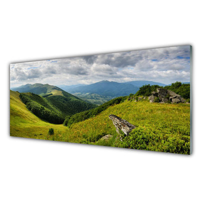 Glasbilder Gebirge Wiese Landschaft