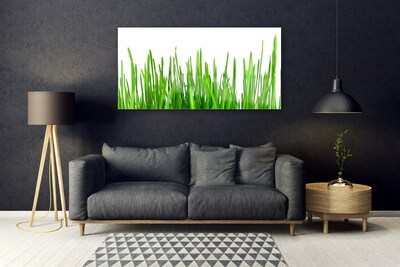 Glasbilder Gras Pflanzen