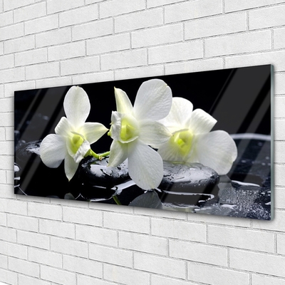 Wandbilder Glasbilder Druck auf Glas 120x60 Blumen Steine Pflanzen