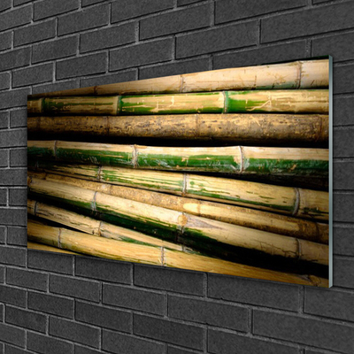 Glasbilder Bambus Pflanzen