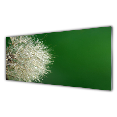 Glasbilder Pusteblume Pflanzen