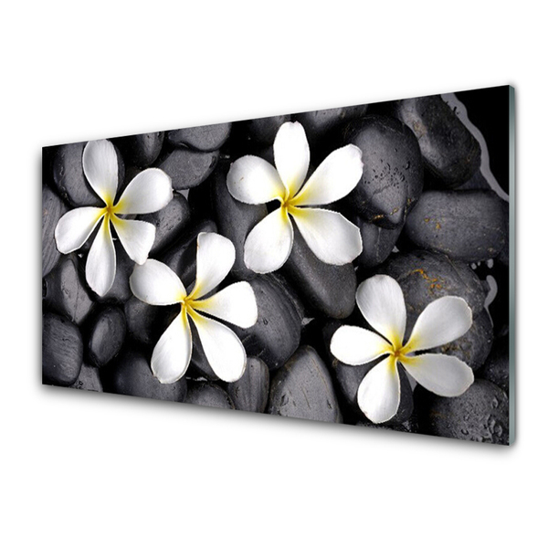 Glasbilder Blumen Pflanzen