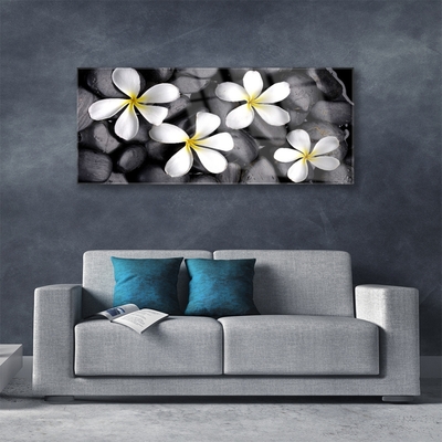 Glasbilder Blumen Pflanzen