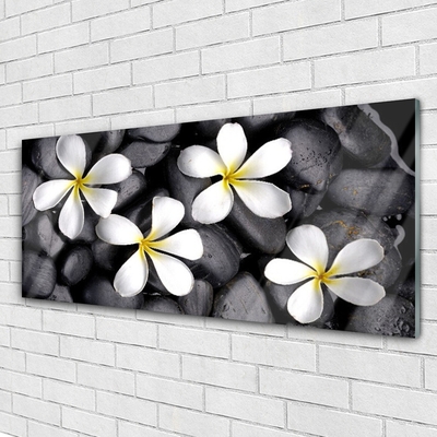 Glasbilder Blumen Pflanzen