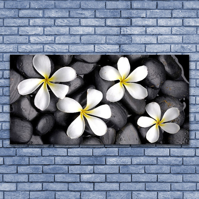 Glasbilder Blumen Pflanzen