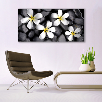 Glasbilder Blumen Pflanzen