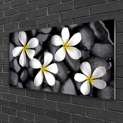 Glasbilder Blumen Pflanzen