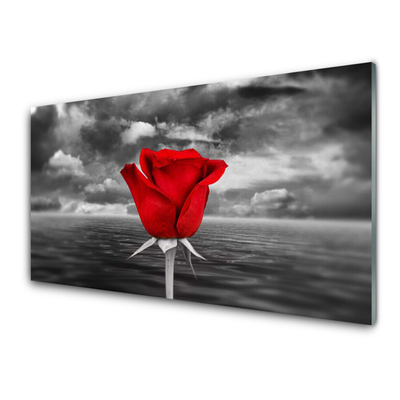 Glasbilder Rose Pflanzen
