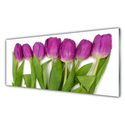 Glasbilder Tulpen Pflanzen