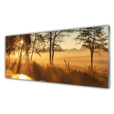 Glasbilder Bäume Natur
