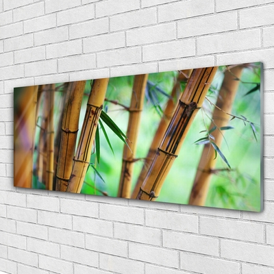 Glasbilder Bambusrohr Natur
