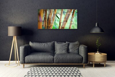 Glasbilder Bambusrohr Natur