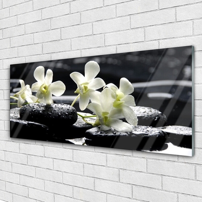 Tulup Glasbilder Wandbild Dekobild 100x50 Blumen Steine Blätter Pflanzen 