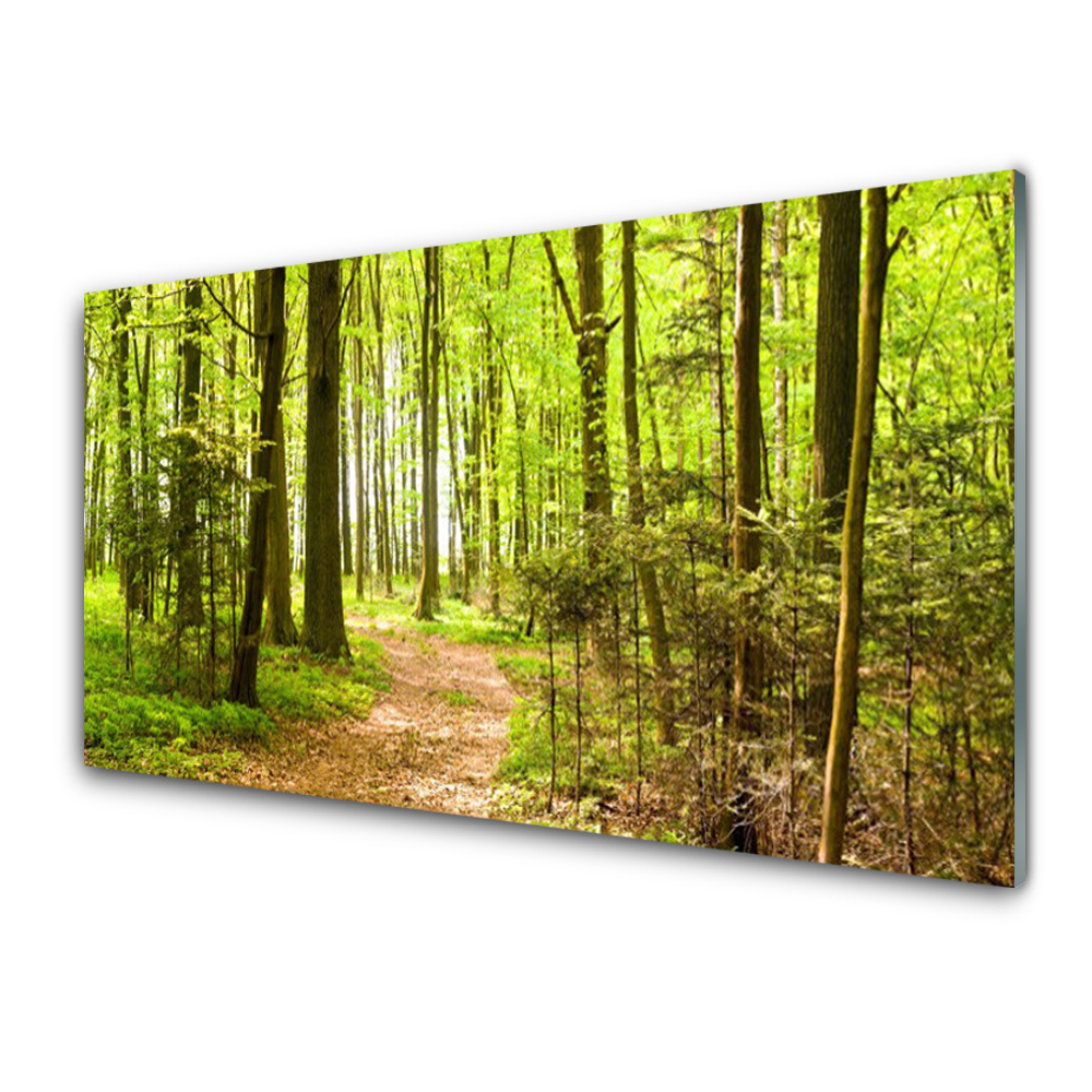 Tulup Acrylglasbilder Wandbilder Dekobild 120x60 Wald Natur 