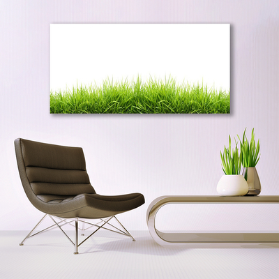 Glasbilder Gras Natur