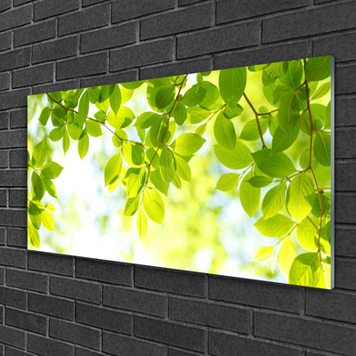 Glasbilder Blätter Natur