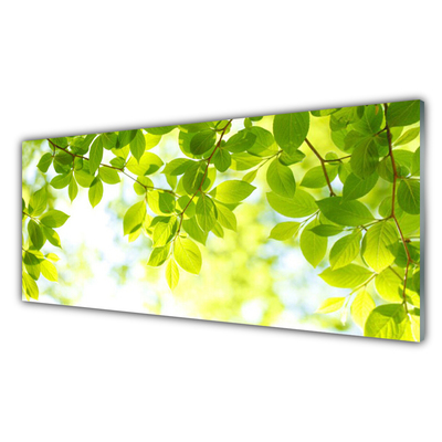Glasbilder Blätter Natur