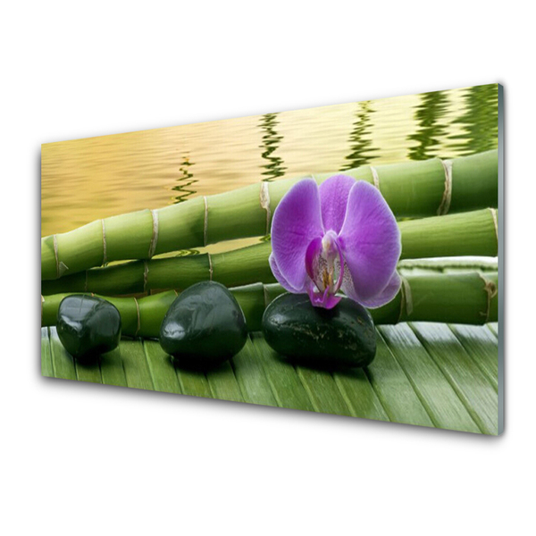 Glasbilder Blume Steine Bambusrohre Pflanzen