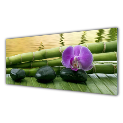Glasbilder Blume Steine Bambusrohre Pflanzen