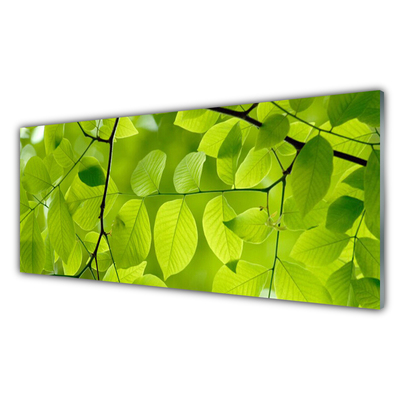 Glasbilder Blätter Natur