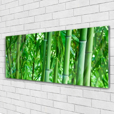 Glasbilder Bambusrohre Pflanzen
