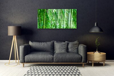 Glasbilder Bambusrohre Pflanzen