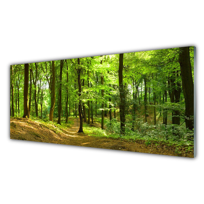 Glasbilder Wald Natur
