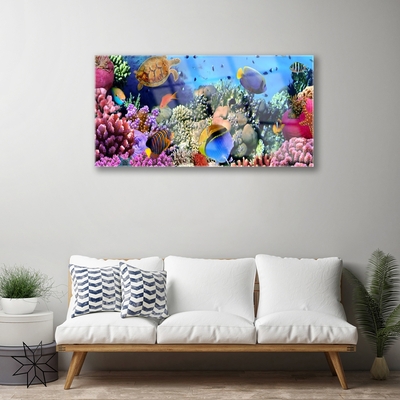 Tulup Wandbilder Glasbilder Dekobild 120x60 Korallenriff Natur 