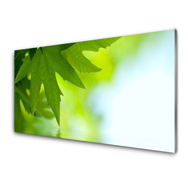 Glasbilder Blätter Natur