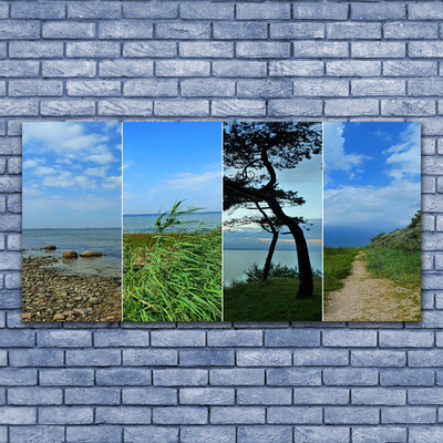 Glasbilder Strand Baum Fußpfad Landschaft