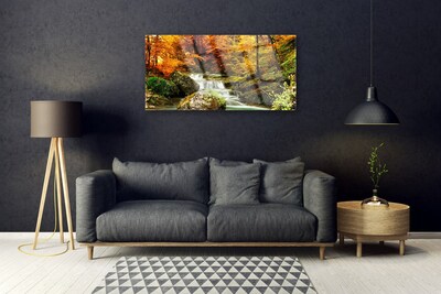 Glasbilder Wasserfall Wald Natur