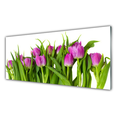 Glasbilder Tulpen Pflanzen