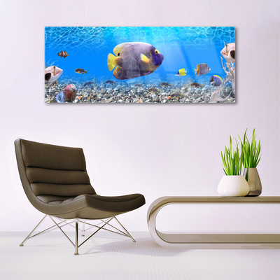 Glasbilder Fische Natur
