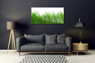Glasbilder Gras Natur