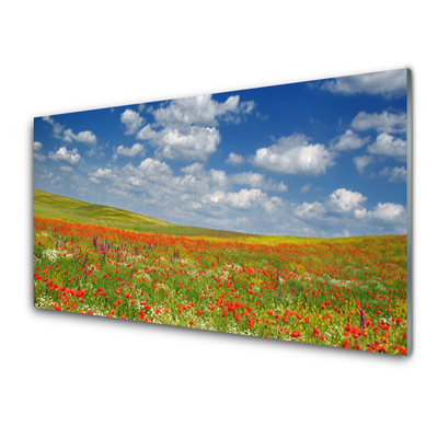 Glasbilder Wiese Blumen Landschaft